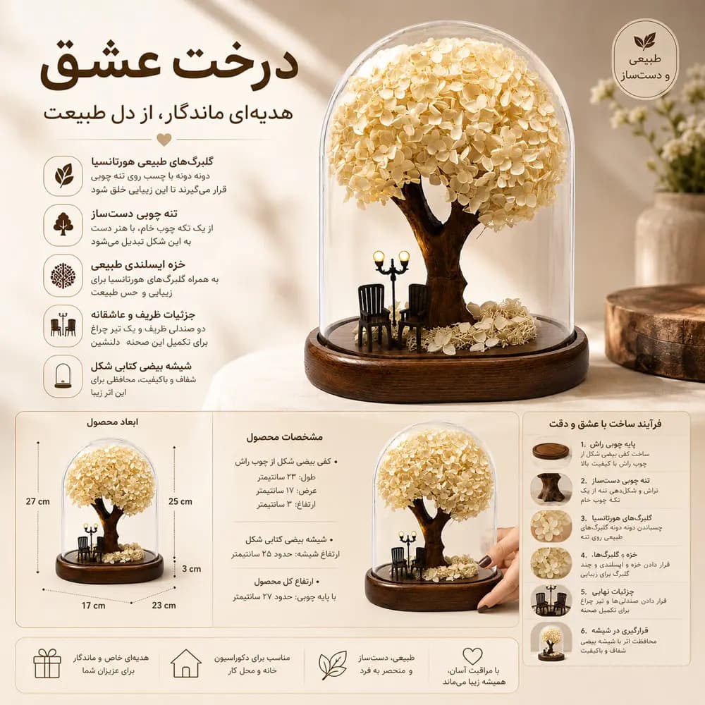 درختچه هورتانسیا جاودان سفید — تصویر ۳