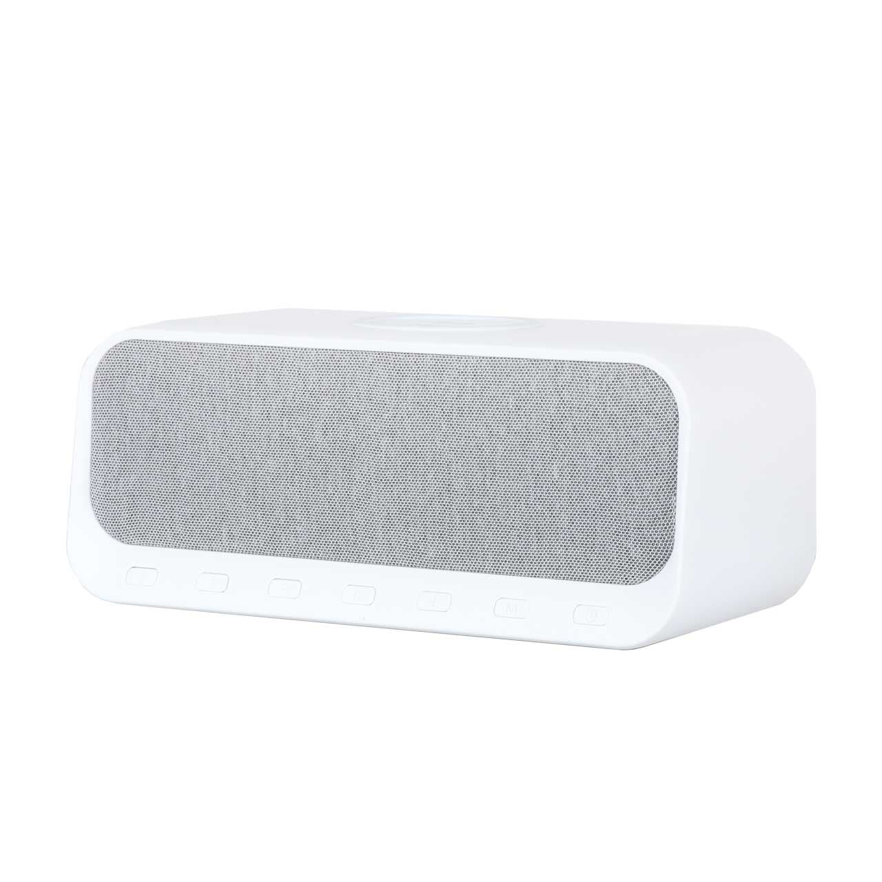 اسپیکر بی سیم DINLINE مدل DW-300 — تصویر ۳