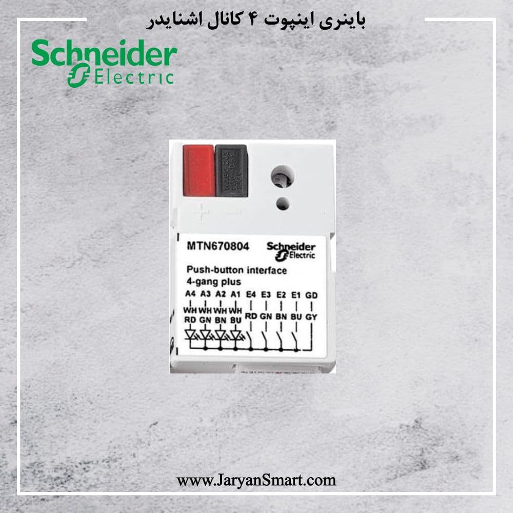 باینری اینپوت 2 کانال اشنایدر SCHNEIDER MTN670802 — تصویر ۲
