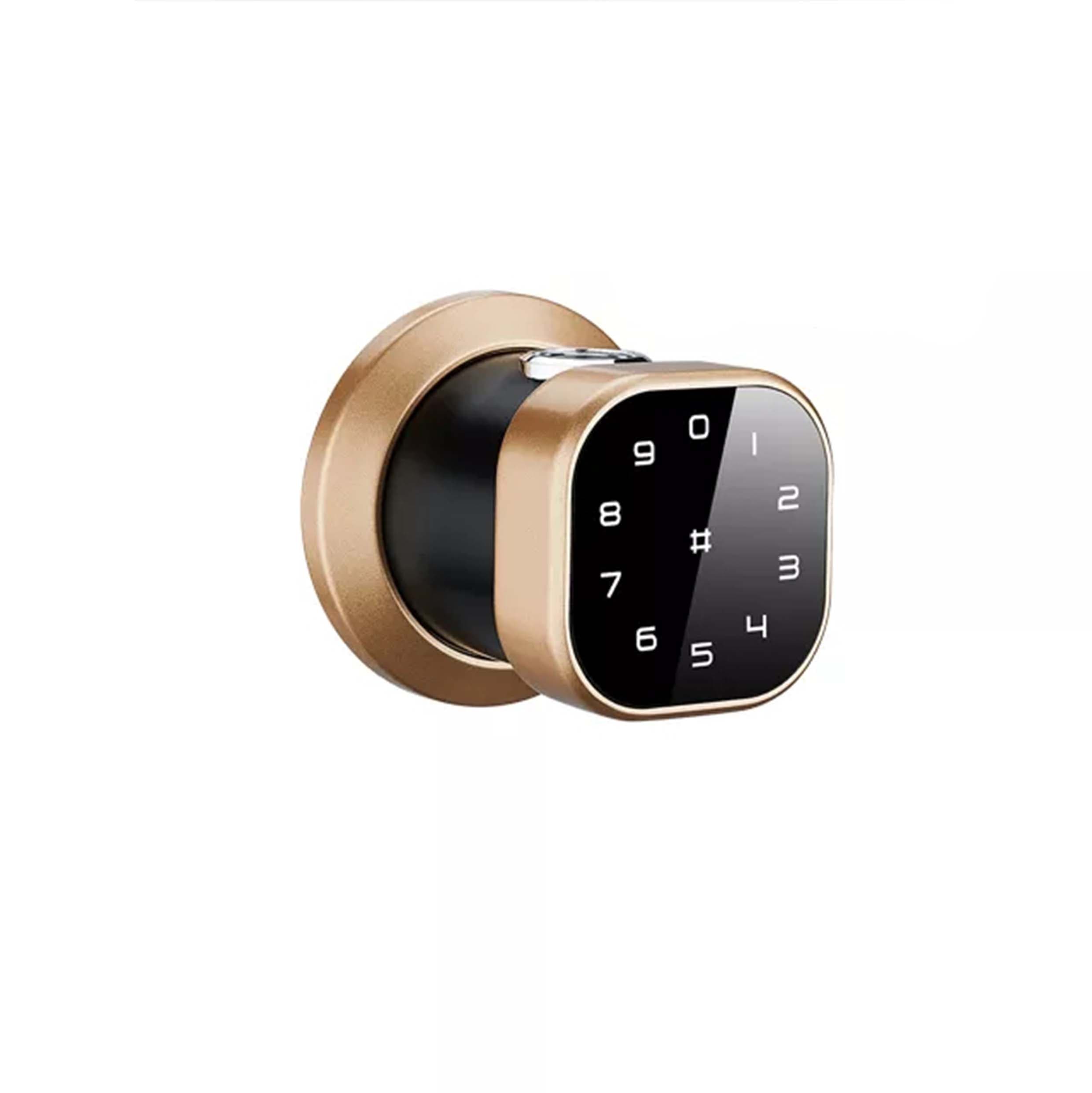 دستگیره دیجیتال هوم لاک مدل B220 — تصویر ۲
