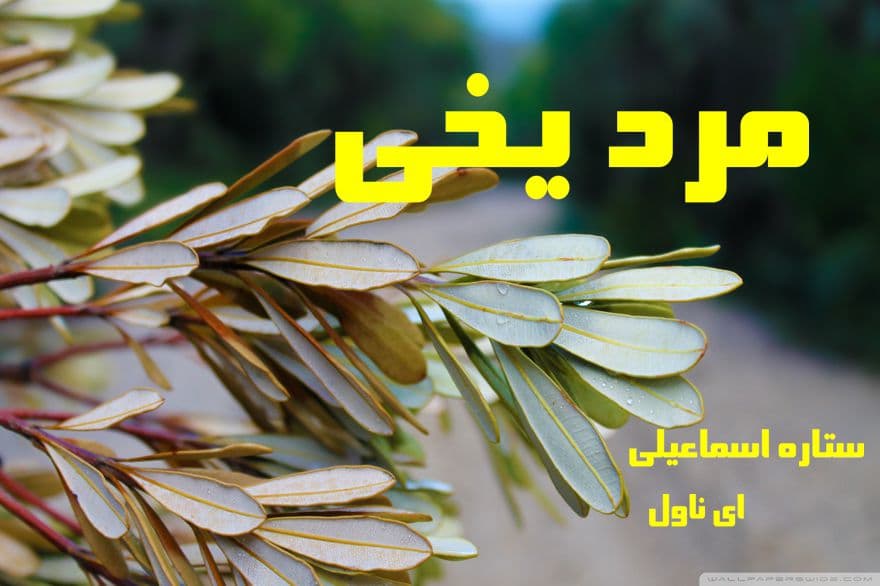 دانلود pdf رمان مرد یخی از ستاره اسماعیلی