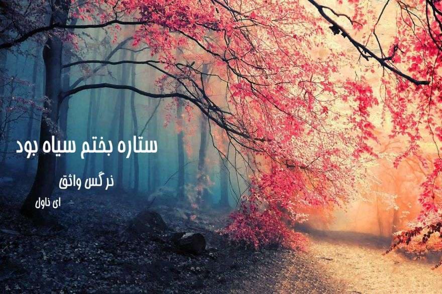 دانلود pdf رمان ستاره بختم سیاه بود از نرگس واثق
