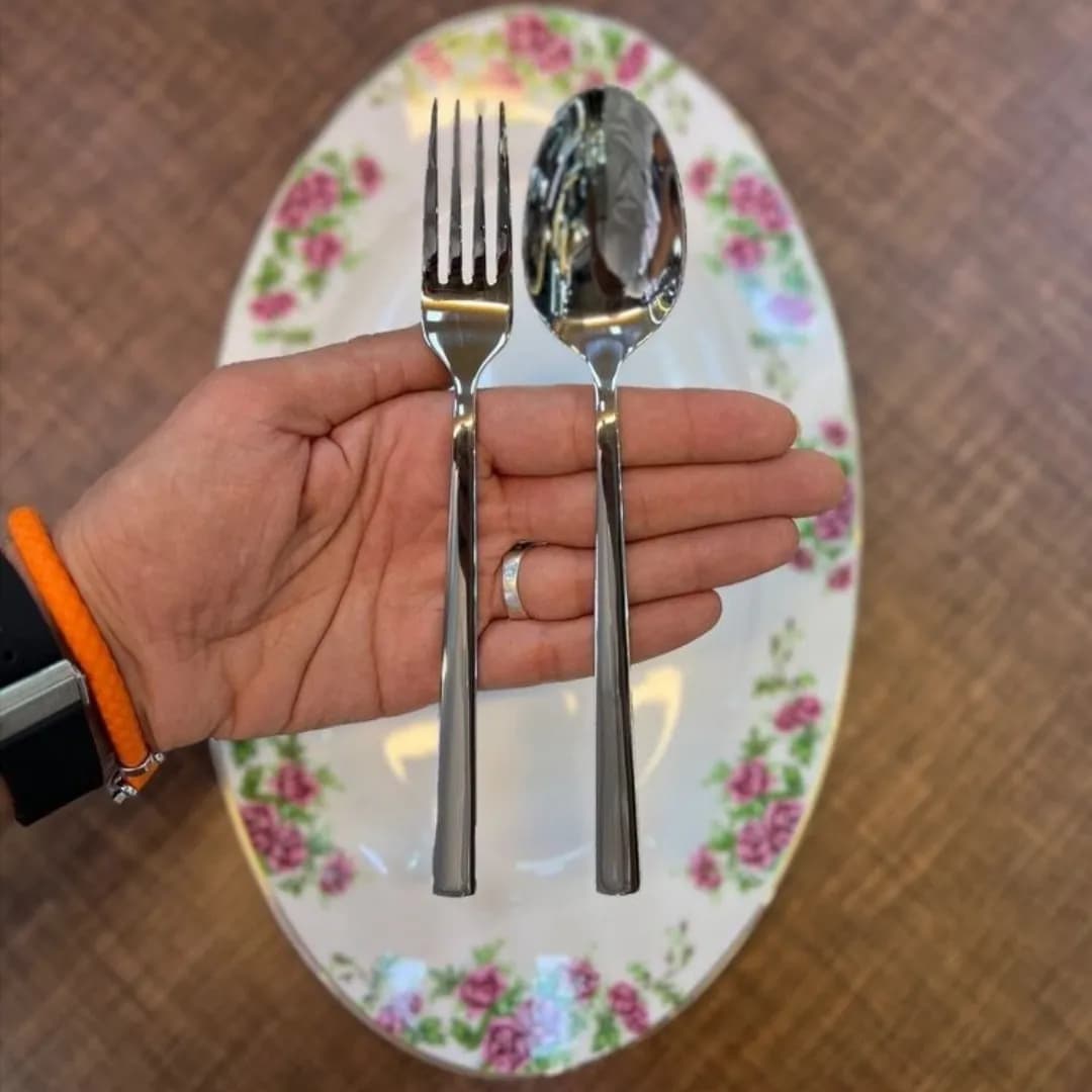 سرویس قاشق و چنگال یونیک 24 نفره 144 پارچه مدل شیکاگو