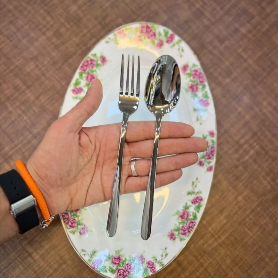 سرویس قاشق و چنگال یونیک 24 نفره 144 پارچه مدل دونا