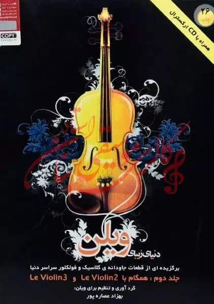 کتاب دنیای زیبای ویلن جلد دوم