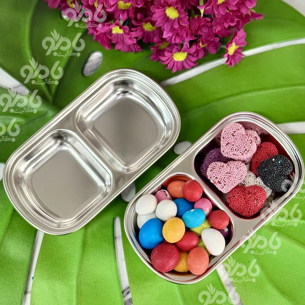 اردوخوری مربع بیسیک 2خانه سیلور استیل