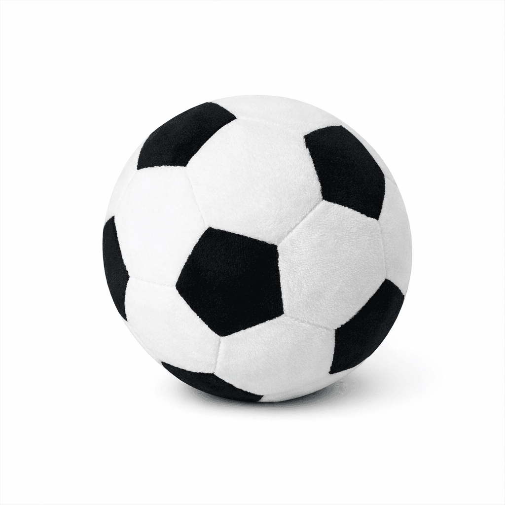 توپ فوتبال پولیشی Play by Play اورجینال (+ ۲ اشانتیون ۵۰۰ تومانی)