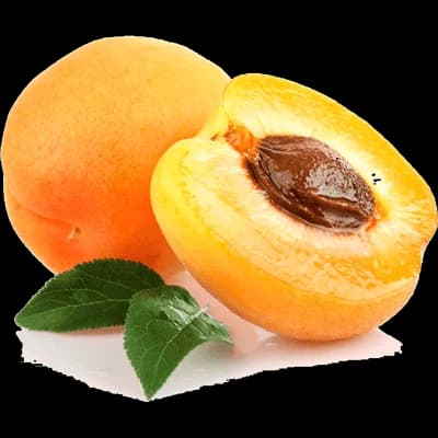 نهال زرد آلو گلدریج