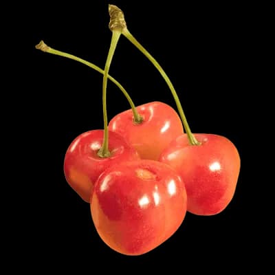 نهال گیلاس بارلت — تصویر ۲