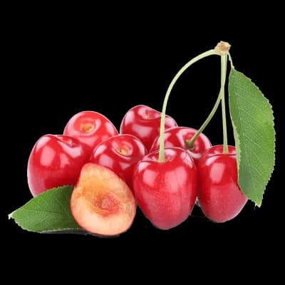 نهال گیلاس سم — تصویر ۲