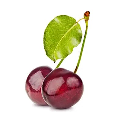 نهال گیلاس فرنگی