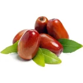 نهال عناب گلابی — تصویر ۲