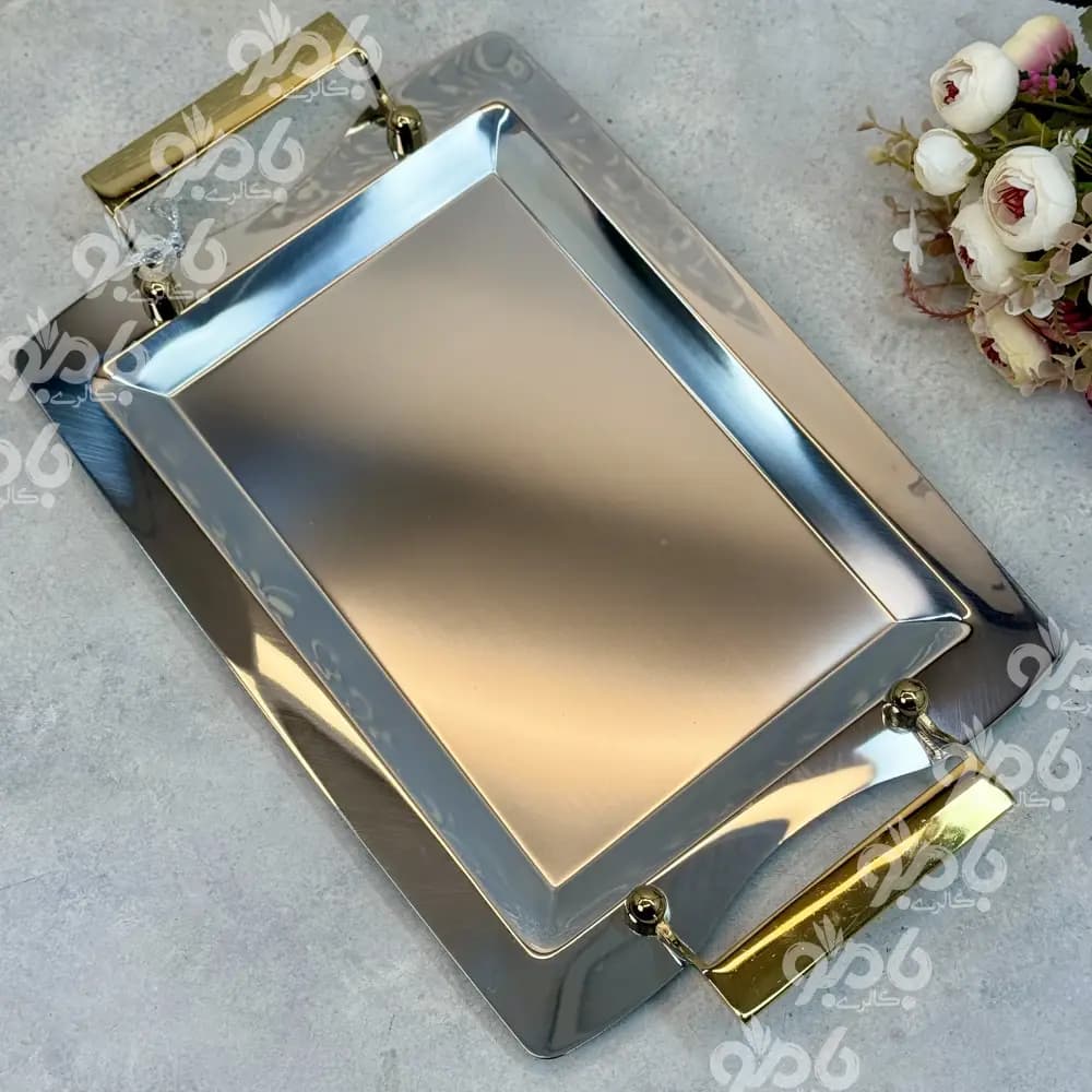 سینی استیل فریکوک مستطیل 2رنگ 0297