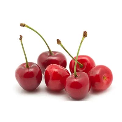 نهال آلبالو مجارستانی