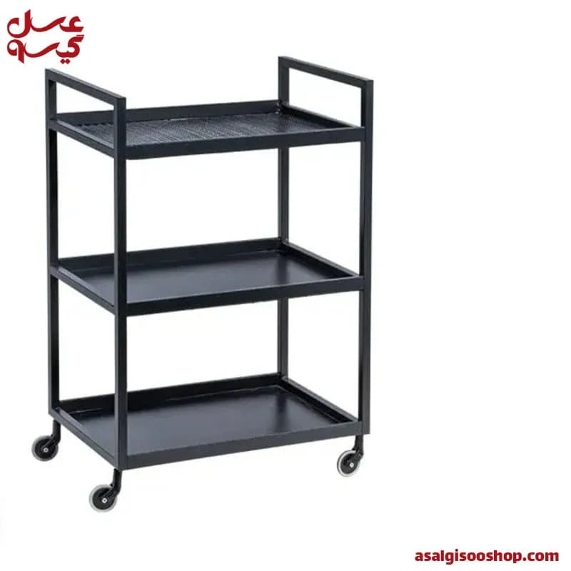 ترولی ساده 2065 صنعت نواز |Sanat Navaz Simple Salon Trolley|کد 2828