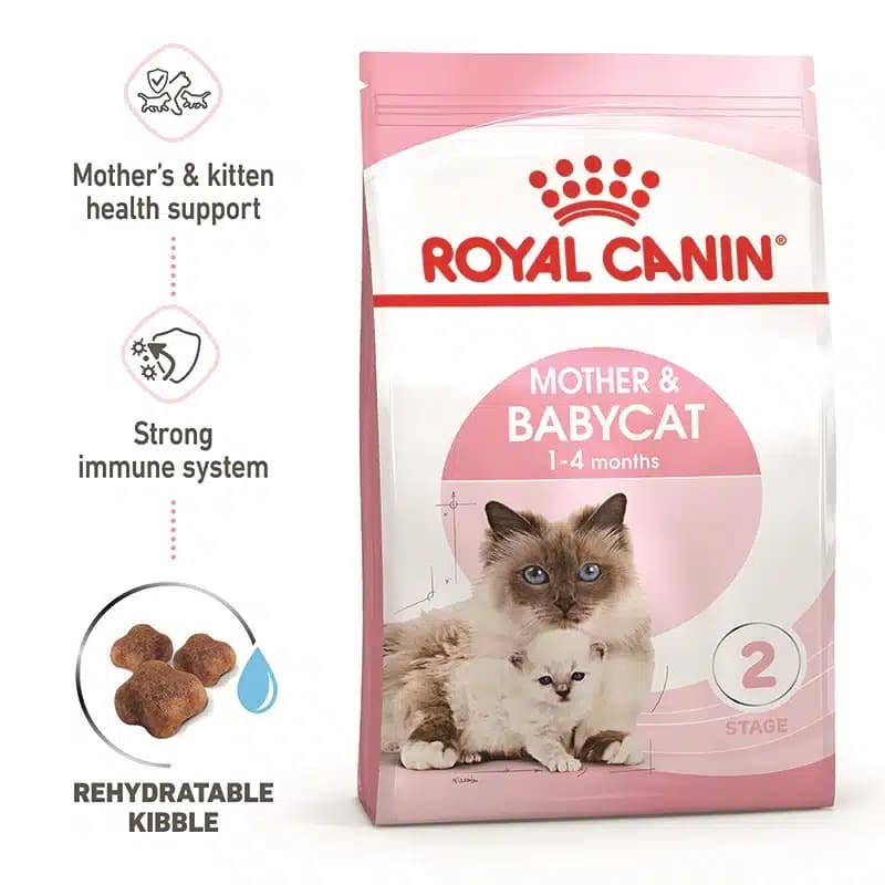 غذای خشک گربه مادر و بچه رویال کنین 2 کیلوگرم Mother & Baby