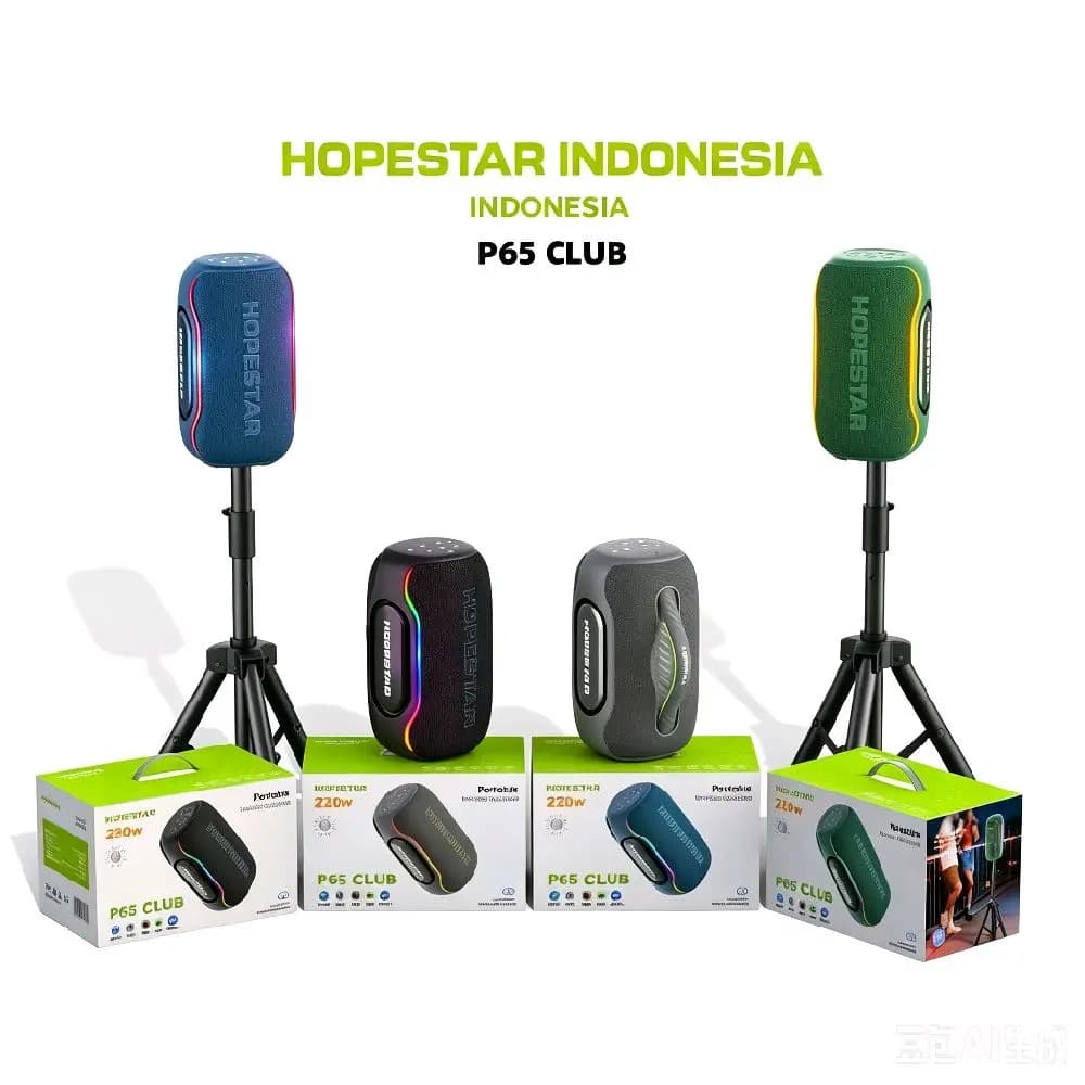 اسپیکر بلوتوثی هوپ استار پی 65 کلاب Hopestar P65 Club توان 220 وات | میکروفون، Auracast و RGB