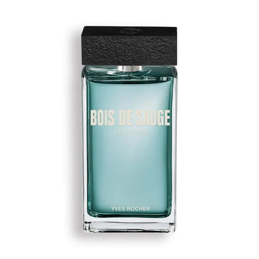 عطر مردانه بویس د سوگ ایوروشه ۱۰۰ میل — تصویر ۲