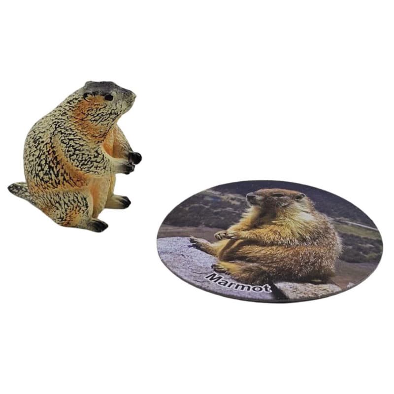 فیگور ناب سل مدل سنجاب MARMOT ارتفاع 4 سانتی‌متر — تصویر ۲