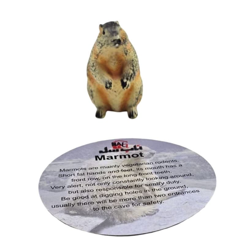 فیگور ناب سل مدل سنجاب MARMOT ارتفاع 4 سانتی‌متر — تصویر ۳
