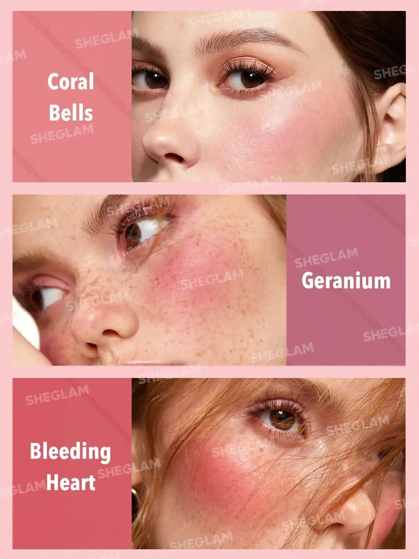 پلت رژگونه 6 تایی شیگلم FLORAL FLUSH BLUSHING BOUQUET — تصویر ۳