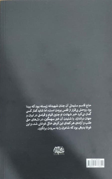 مرد میدان — تصویر ۲