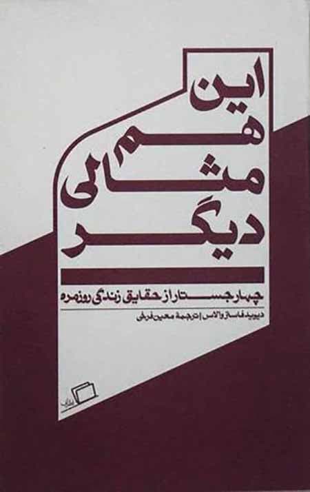 این هم مثالی دیگر (چهار جستار از حقایق زندگی روزمره)