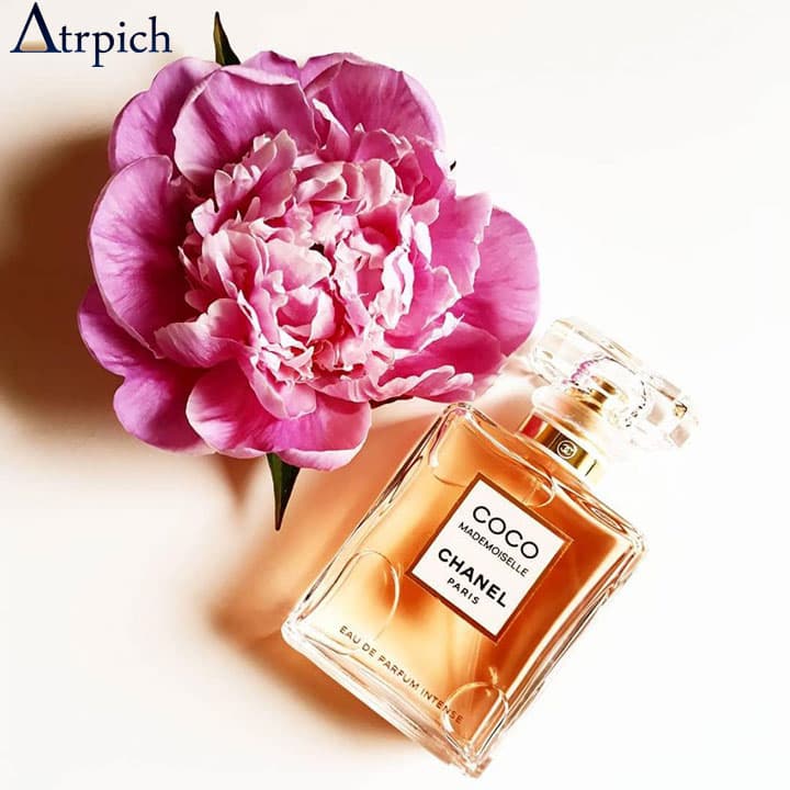 عطر کوکو شنل برند لوزی — تصویر ۳