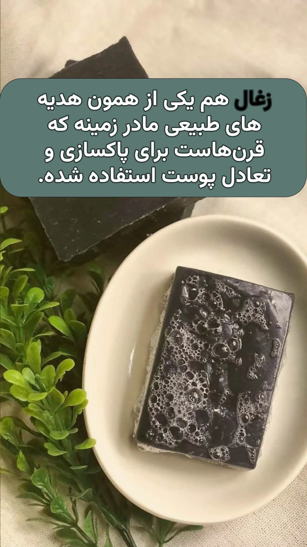 صابون دست ساز گیاهی زغال فعال — تصویر ۳