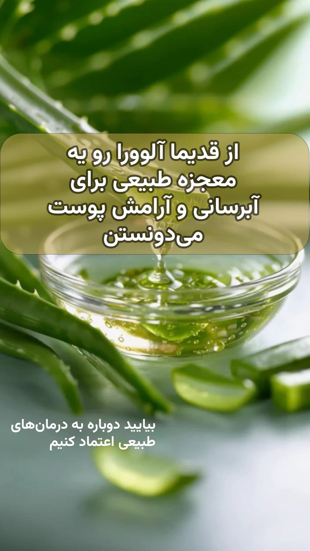 صابون دست ساز گیاهی آلوئه ورا — تصویر ۲