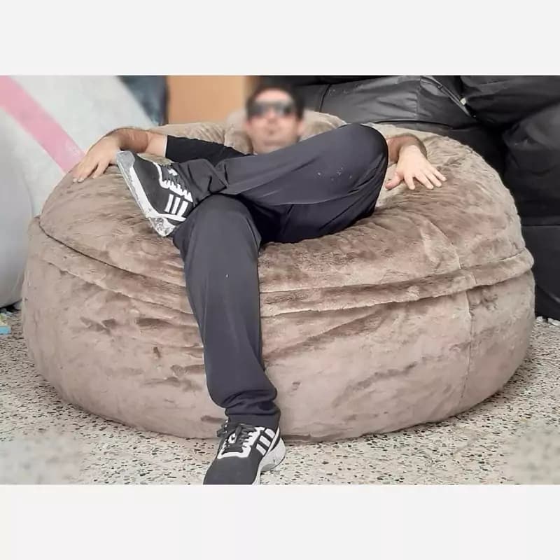 بین بگ خزدار خاکی تیره پرز بلند تکنفره — تصویر ۶