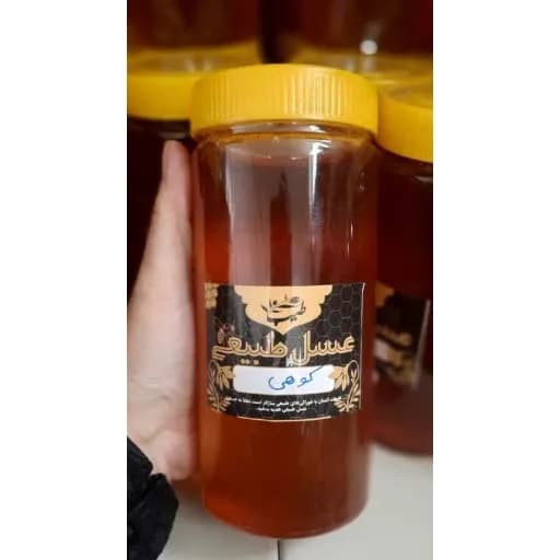 عسل کوهی اصل 1 کیلو