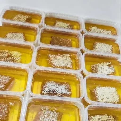 عسل موم دار طبیعی 500 گرم — تصویر ۲