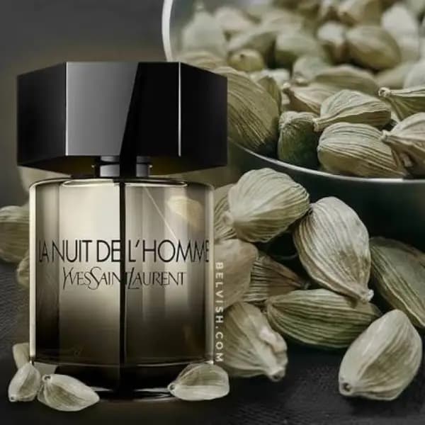 عطر مردانه ایو سن لوران لانویت د لهوم ادو تویلت Yves Saint Laurent La Nuit de L’Homme Eau de Toilette — تصویر ۲