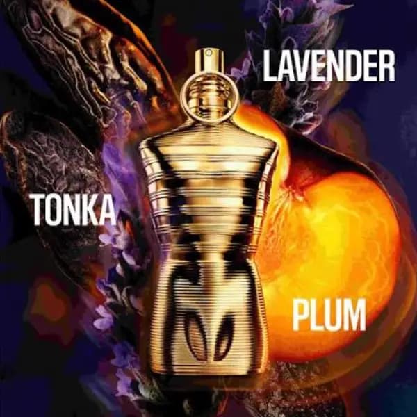 عطر مردانه له میل الکسیر ژان پل گوتیه پارفوم Jean Paul Gaultier Le Male Elixir Parfum — تصویر ۵