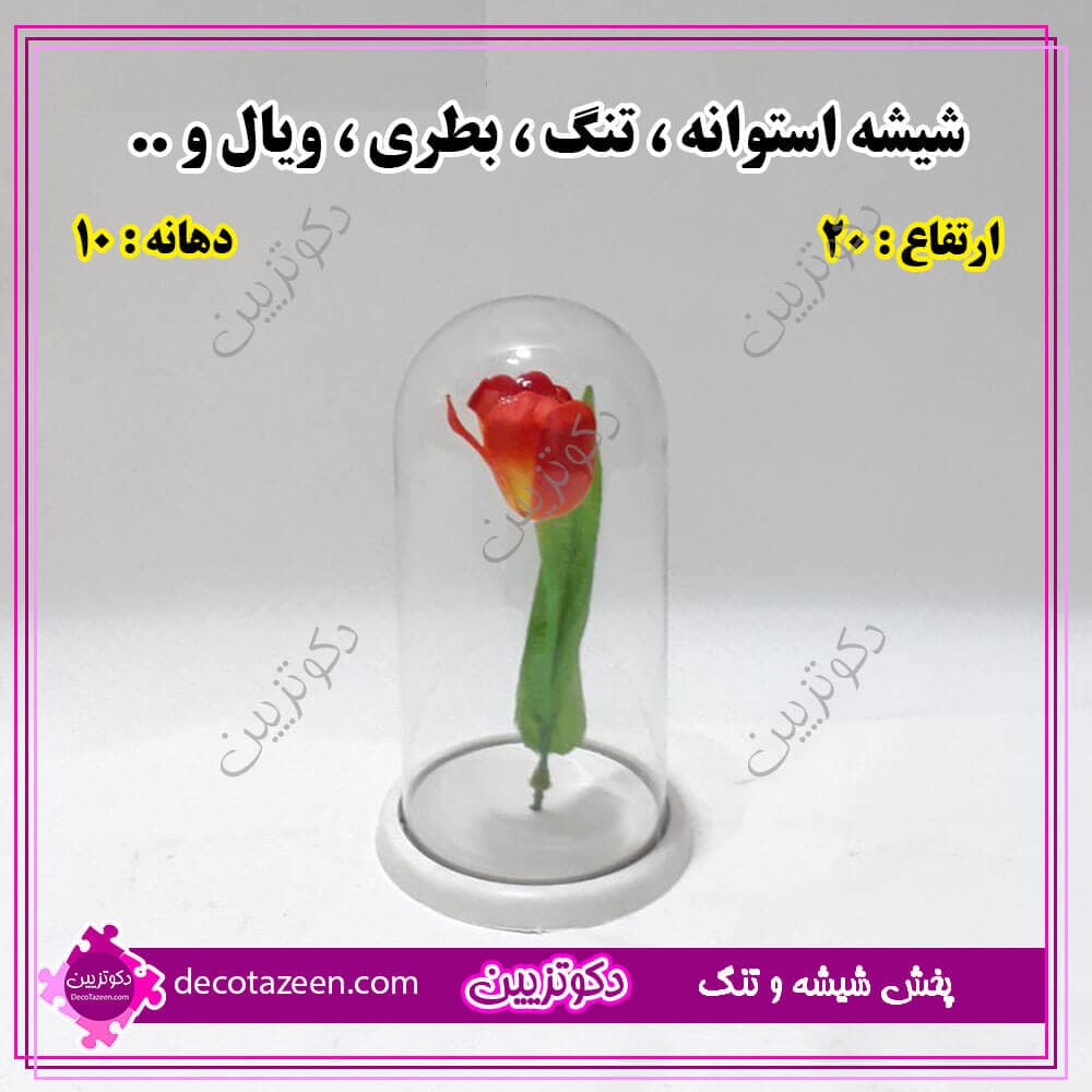 باکس استوانه شیشه ای دهانه 10 ارتفاع 20 فانوسی کارتن 18 تایی😍 خرید از کارخانه — تصویر ۳