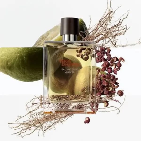 عطر مردانه تق هرمس ادوتویلت Hermès Terre d’Hermès Eau de Toilette — تصویر ۳