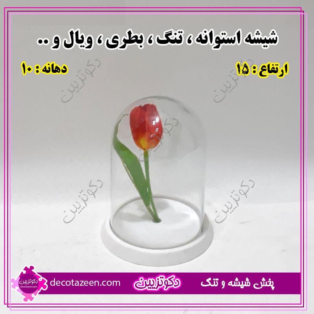 باکس استوانه شیشه ای دهانه 10 ارتفاع 15 کارتن 18 عددی😍 خرید از کارخانه — تصویر ۳