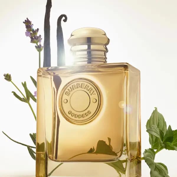 عطر زنانه باربری گادس ادو پرفیوم Burberry Goddess Eau de Parfum — تصویر ۴