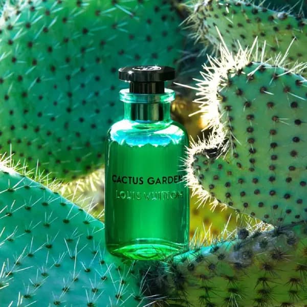 عطر یونیسکس ککتوس گاردن لویی ویتون ادو پرفیوم Louis Vuitton Cactus Garden Eau de Parfum — تصویر ۴