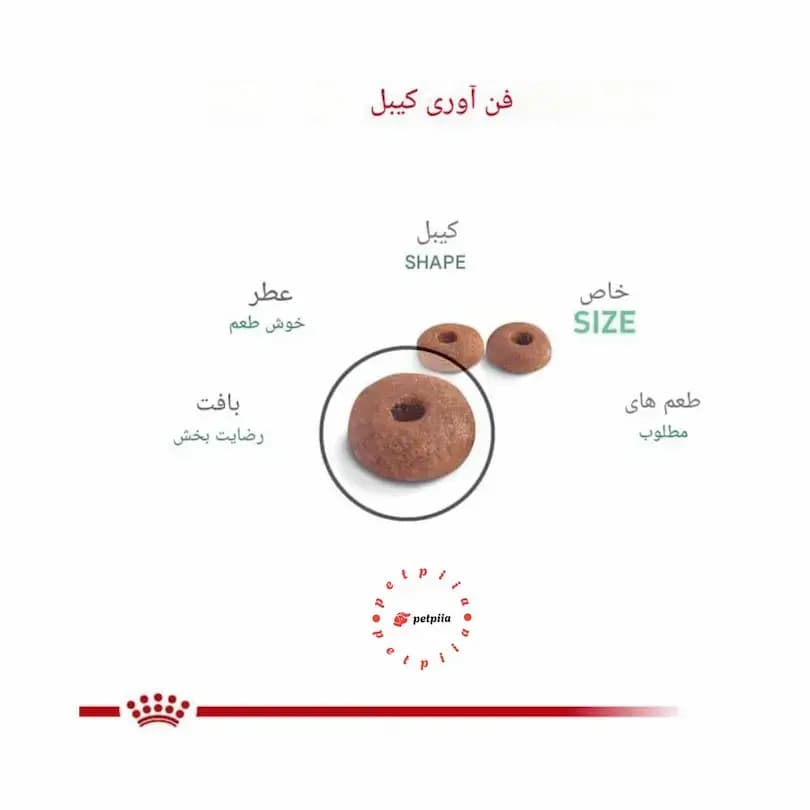 غذای خشک رویال کنین دایجستیو گربه Digestive care بسته 2 کیلوگرمی — تصویر ۳