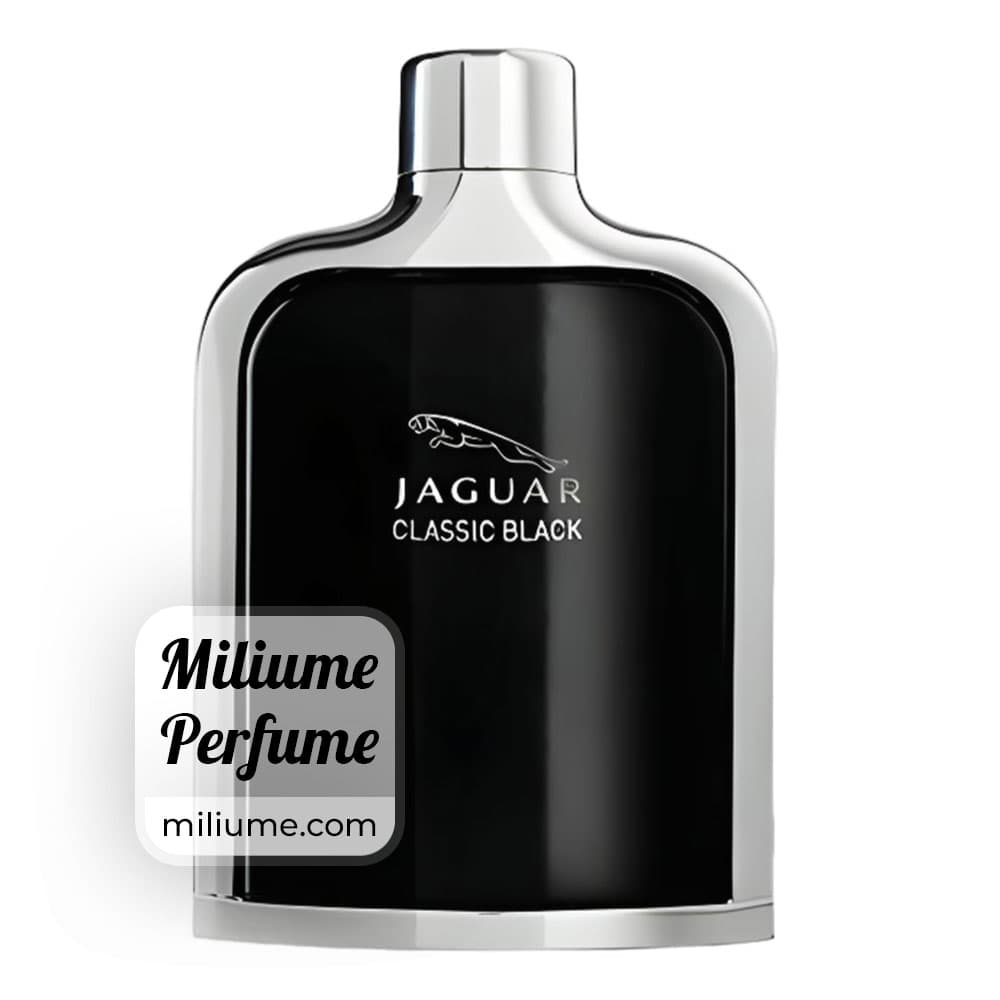 عطر جگوار کلاسیک بلک مردانه | jaguar classic black men | برند RenneTouch