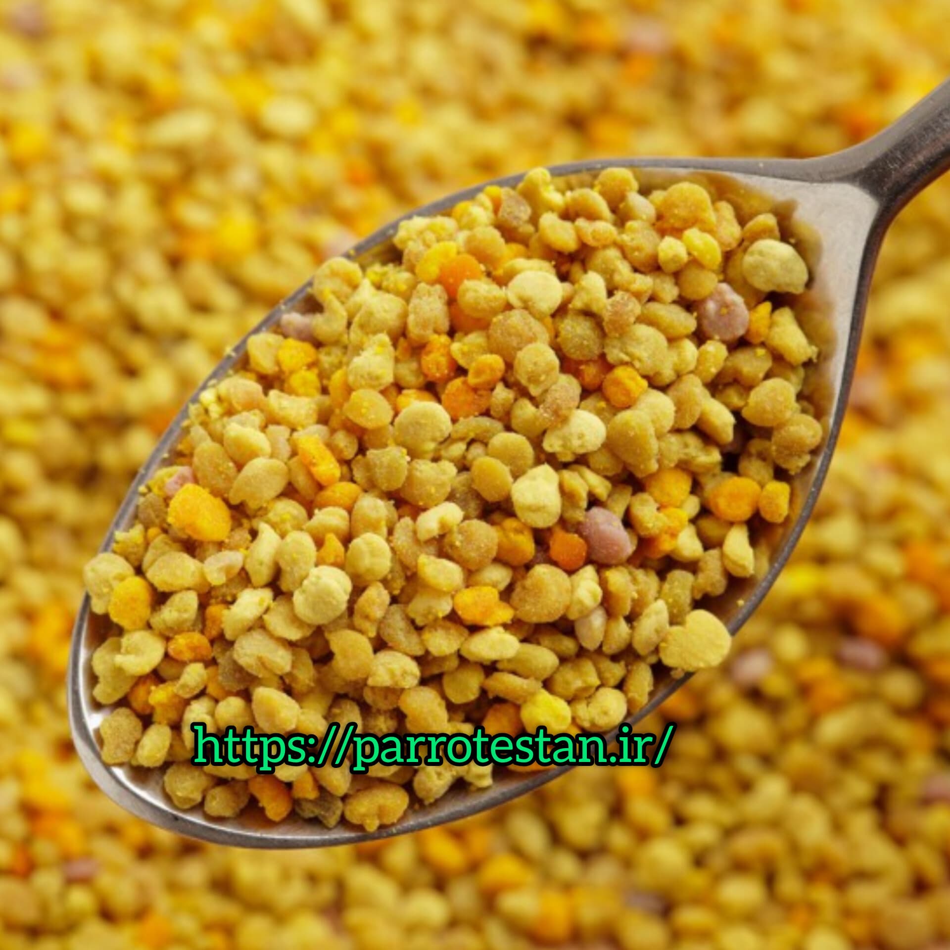 گرده گل طبیعی beepollen مخصوص پرندگان زینتی | مکمل تقویتی ۱۰۰٪ ارگانیک مناسب طوطی، قناری، فنچ، لوری‌کیت و…