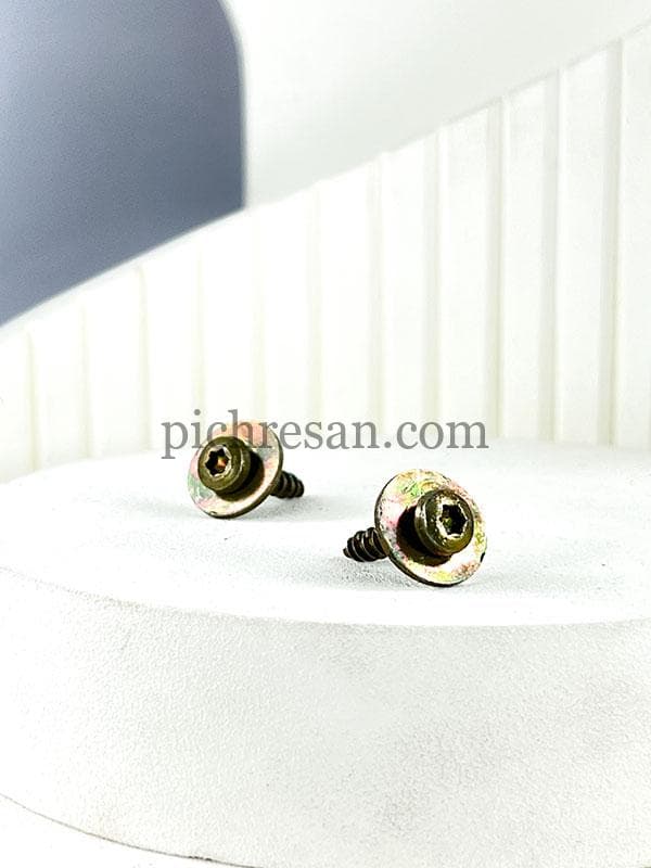 پیچ شلگیر پژو 206 بسته 100عددی — تصویر ۲