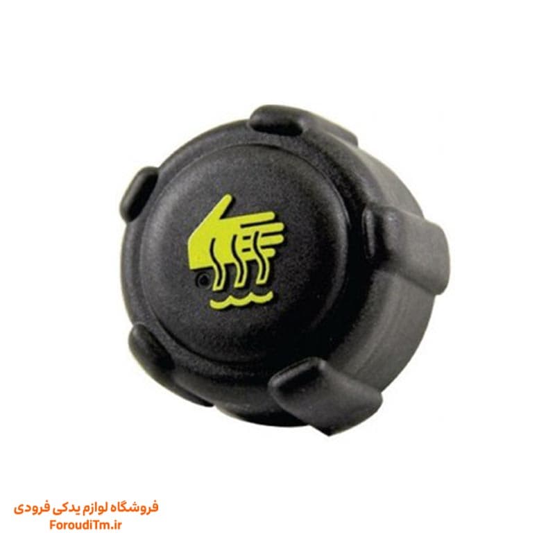 درب منبع انبساط ال 90 ، ساندرو | برند داچیا | اورجینال و وارداتی
