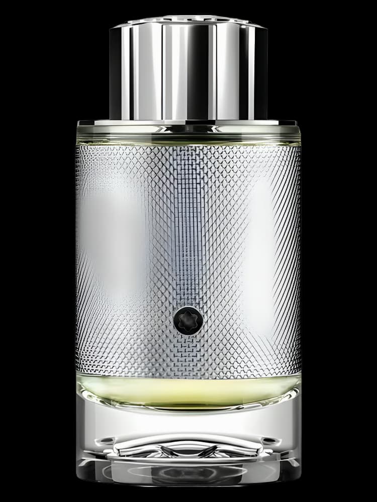 مون بلان اکسپلورر پلاتینیوم | Montblanc Explorer Platinum