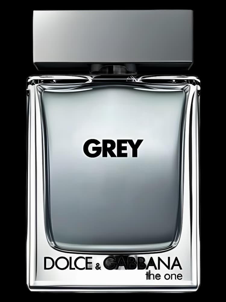 دولچه گابانا د وان گری | Dolce&Gabbana The One Grey