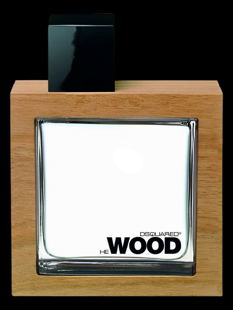 دسکوارد هی وود قهوه ای | DSQUARED He Wood