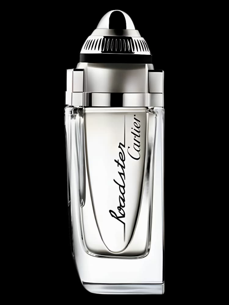 کارتیر رودستر | Cartier Roadster