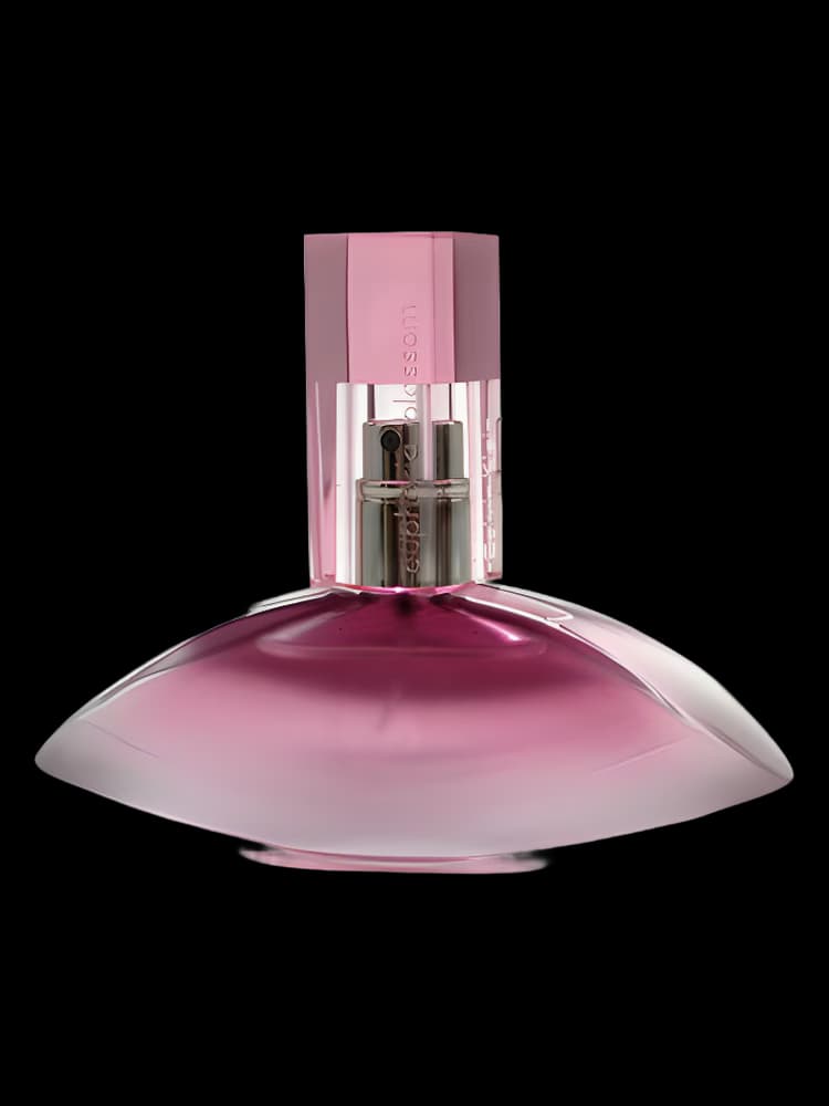 کالوین کلین ایفوریا بلوسوم | Calvin Klein Euphoria Blossom